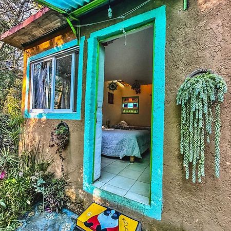 Апартаменти Casa Ecologica Тепостлан Екстер'єр фото