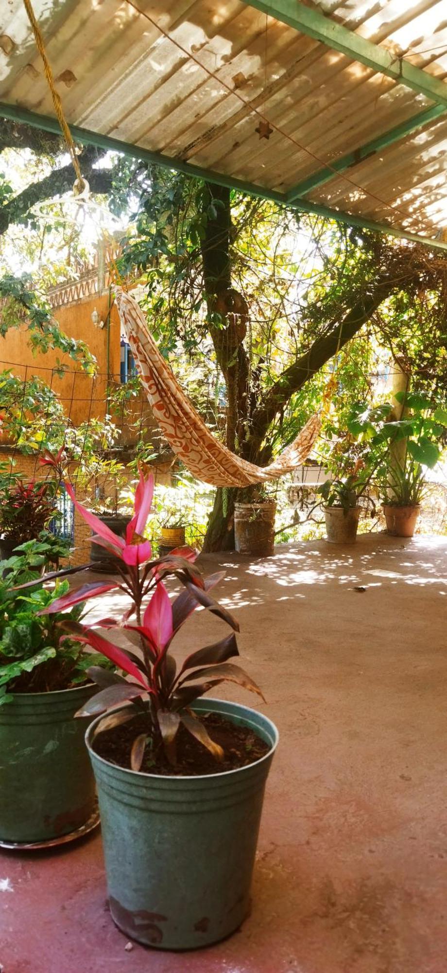 Апартаменти Casa Ecologica Тепостлан Екстер'єр фото
