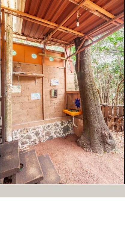 Апартаменти Casa Ecologica Тепостлан Екстер'єр фото