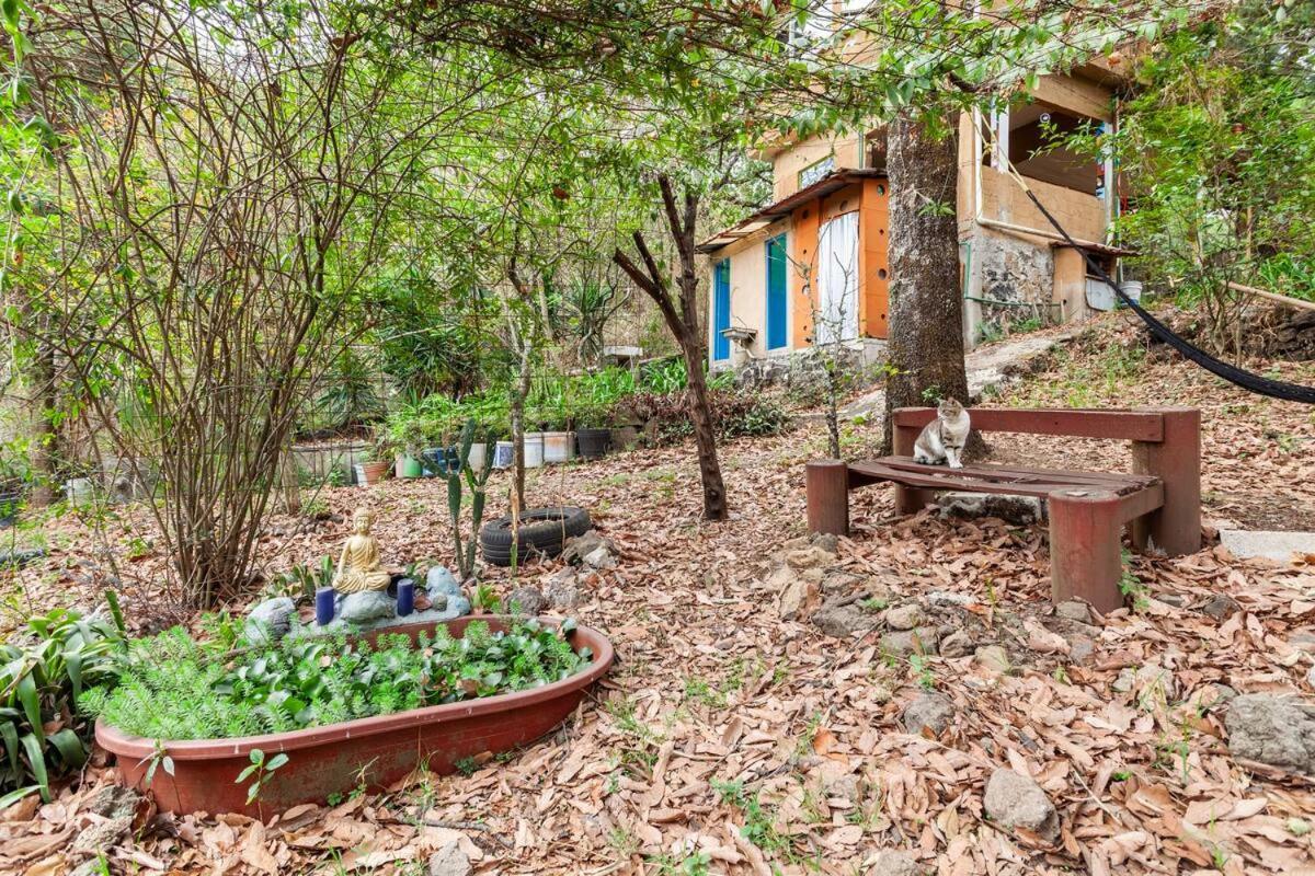 Апартаменти Casa Ecologica Тепостлан Екстер'єр фото